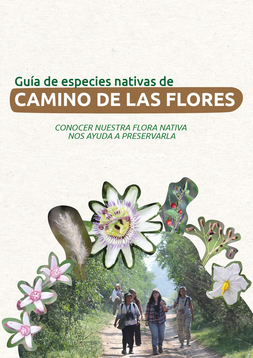 Camino de las flores frente