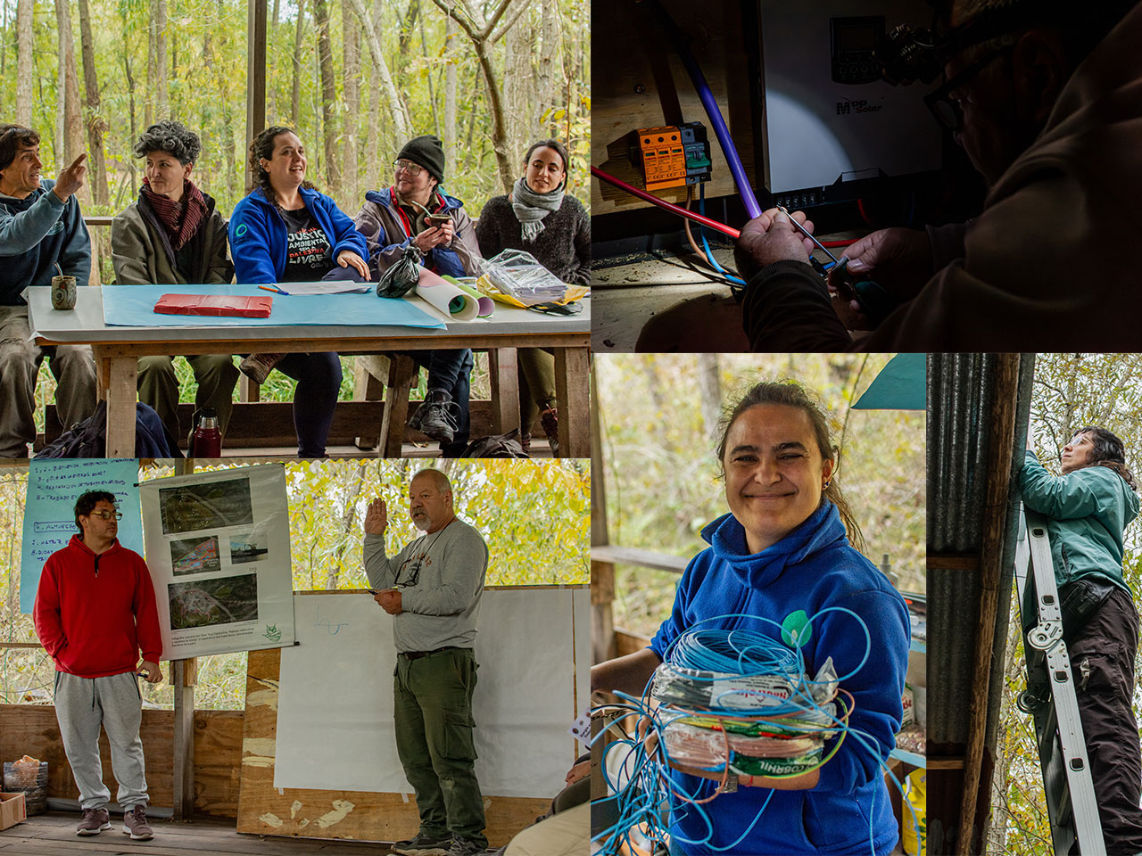 Taller comunitario en la naturaleza.