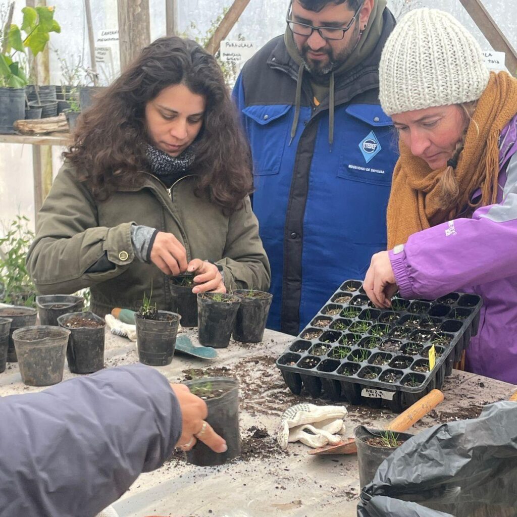 Instagram post from tierranativaorg. This post is in position 1.