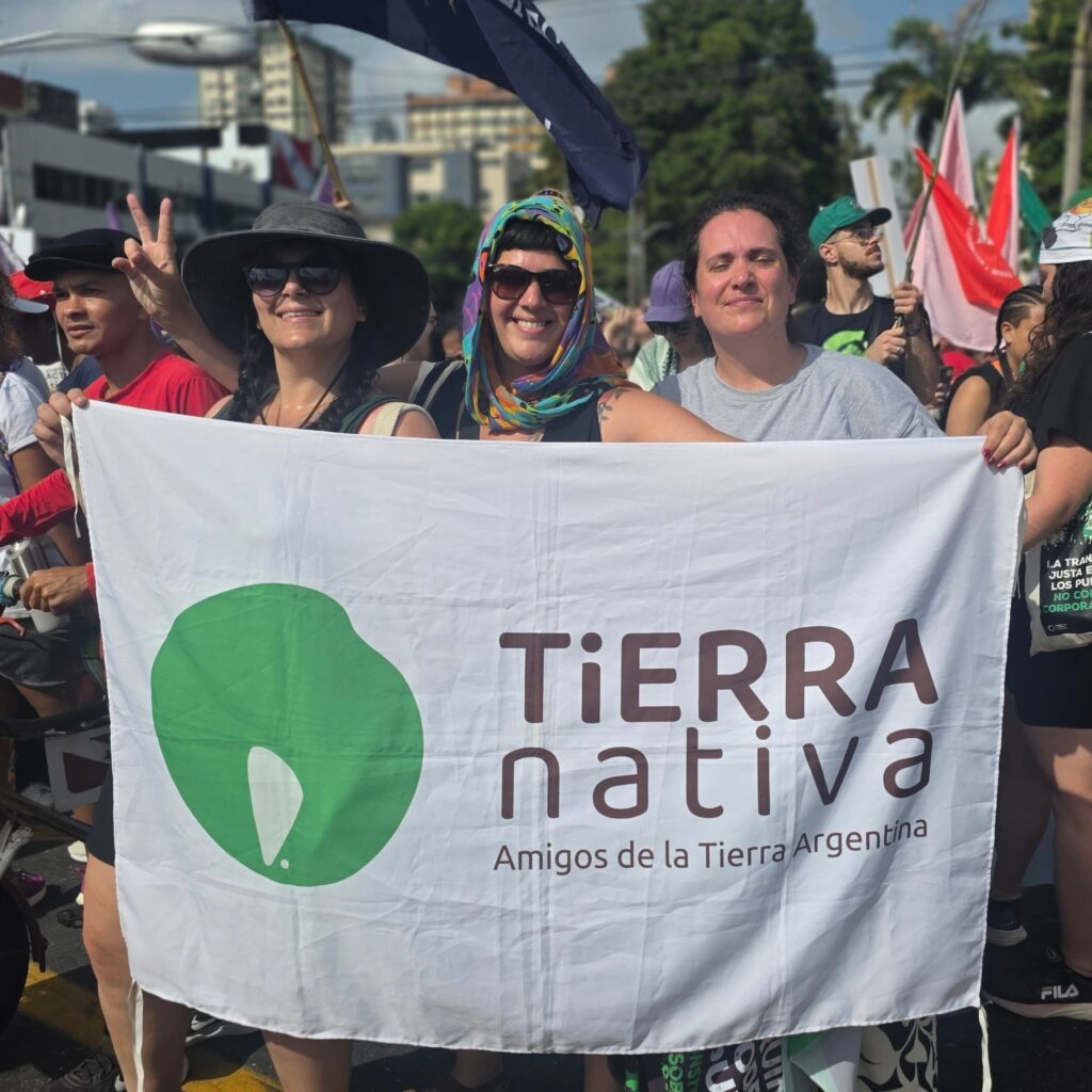 Instagram post from tierranativaorg. This post is in position 11.