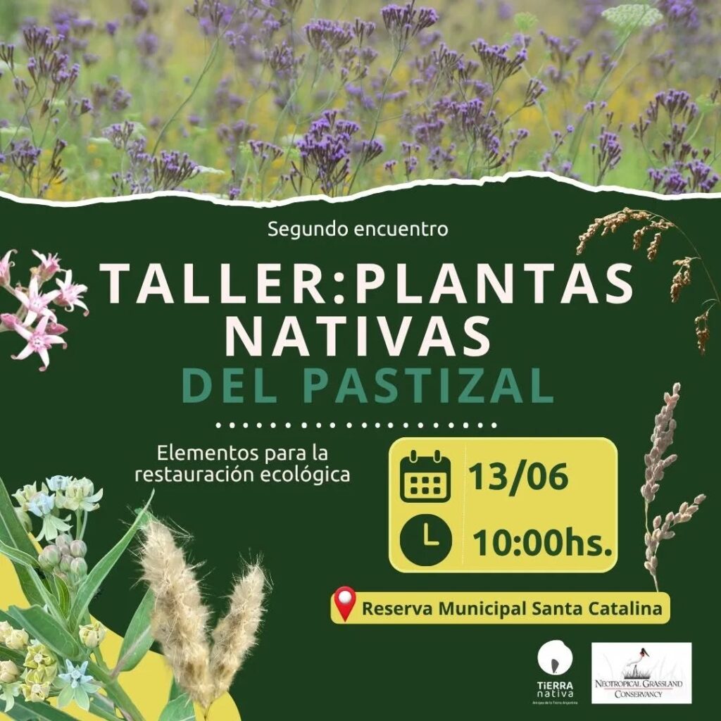 Instagram post from tierranativaorg. This post is in position 4.
