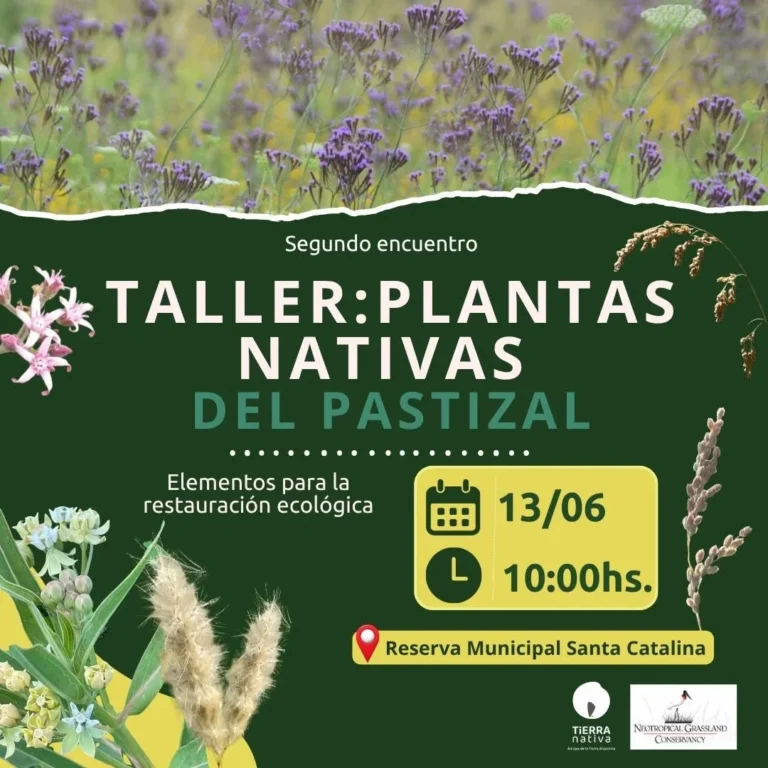 Instagram post from tierranativaorg. This post is in position 5.