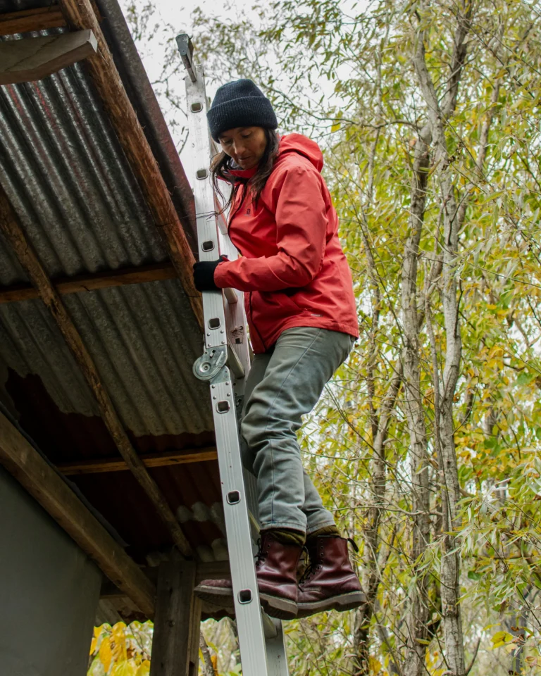 Instagram post from tierranativaorg. This post is in position 3.